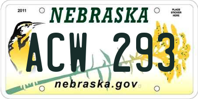 NE license plate ACW293