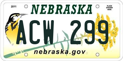 NE license plate ACW299