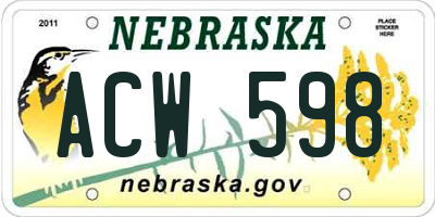NE license plate ACW598