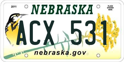 NE license plate ACX531