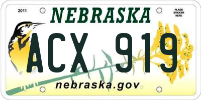 NE license plate ACX919