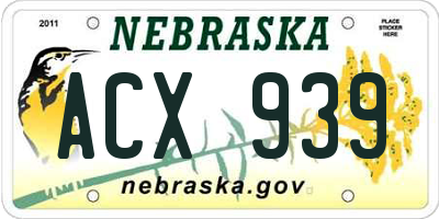 NE license plate ACX939