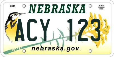 NE license plate ACY123