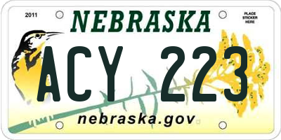 NE license plate ACY223