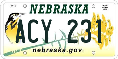 NE license plate ACY231