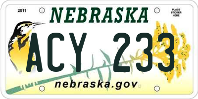 NE license plate ACY233