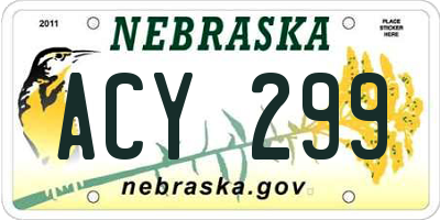 NE license plate ACY299