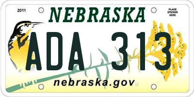 NE license plate ADA313