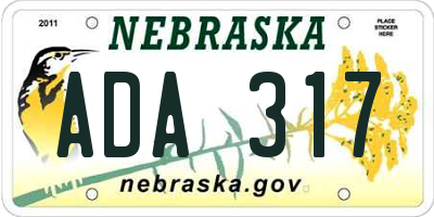 NE license plate ADA317