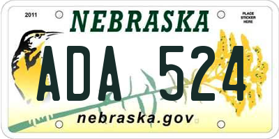 NE license plate ADA524