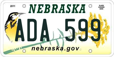 NE license plate ADA599