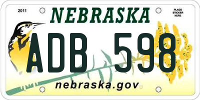 NE license plate ADB598