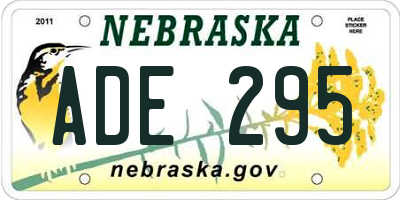 NE license plate ADE295