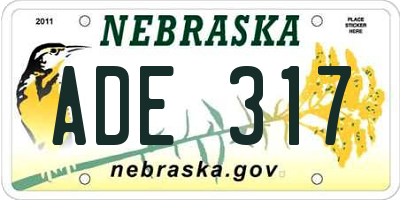 NE license plate ADE317