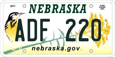 NE license plate ADF220