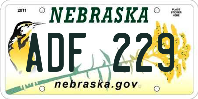 NE license plate ADF229