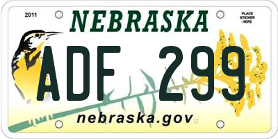 NE license plate ADF299