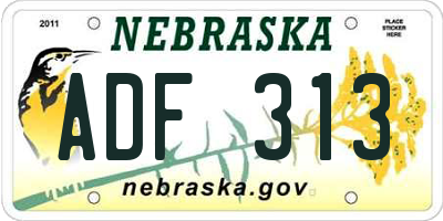 NE license plate ADF313
