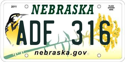 NE license plate ADF316