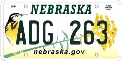 NE license plate ADG263