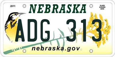 NE license plate ADG313