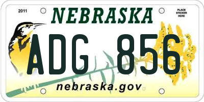 NE license plate ADG856