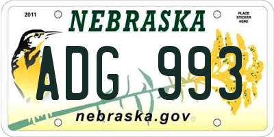 NE license plate ADG993