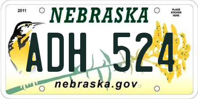 NE license plate ADH524