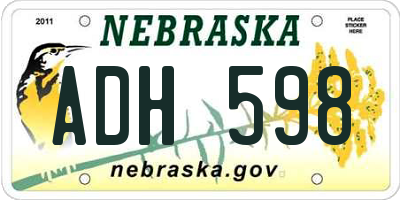 NE license plate ADH598