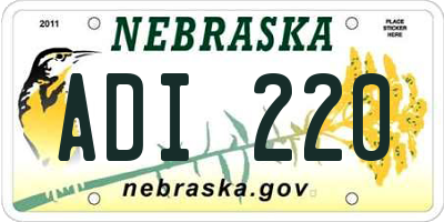 NE license plate ADI220