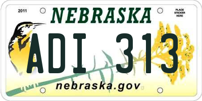NE license plate ADI313