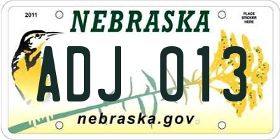 NE license plate ADJ013