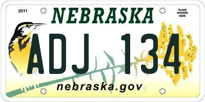 NE license plate ADJ134
