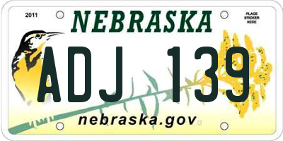 NE license plate ADJ139