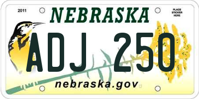 NE license plate ADJ250