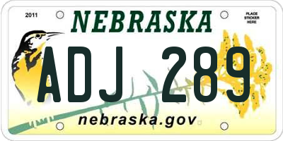 NE license plate ADJ289