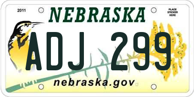 NE license plate ADJ299