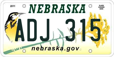 NE license plate ADJ315