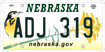 NE license plate ADJ319