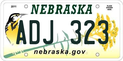 NE license plate ADJ323