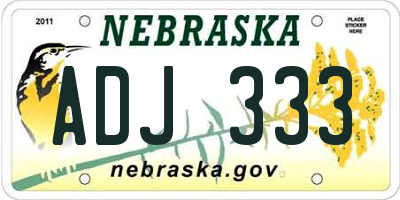 NE license plate ADJ333