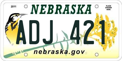 NE license plate ADJ421