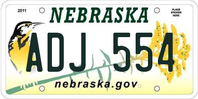 NE license plate ADJ554