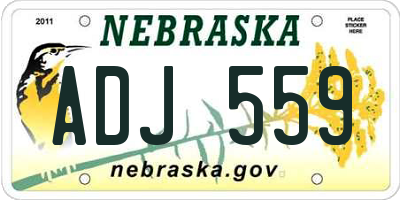 NE license plate ADJ559