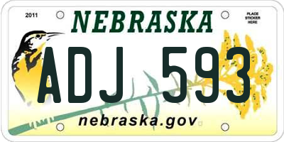 NE license plate ADJ593