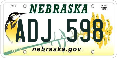 NE license plate ADJ598