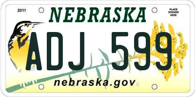 NE license plate ADJ599