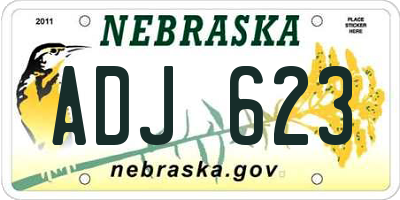 NE license plate ADJ623