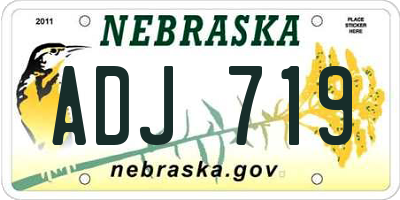 NE license plate ADJ719