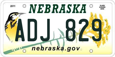 NE license plate ADJ829